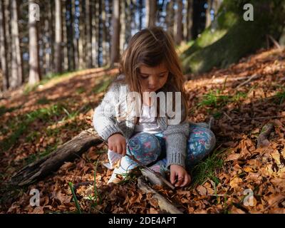 Drei Jahre altes Mädchen spielt mit einem Stock und versucht, ein Blatt zu Speer, Wald im Herbst, Blätter, Oberriss, Schliersee, Bayern, Deutschland Stockfoto