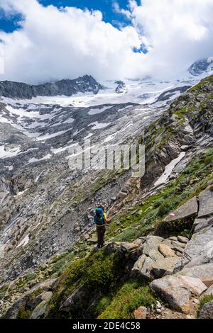 Wanderer auf markierten Wanderwegen, Abstieg vom Schönbichler Horn zur Berliner Huette, Moränenlandschaft, Waxeggkees-Gletscher, Berliner Höhenweg Stockfoto