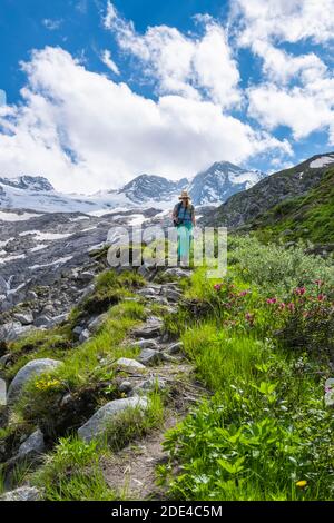 Wanderer auf dem Abstieg vom Schönbichler Horn zur Berliner Huette, Moränenlandschaft, Waxeggkees Gletscher, hinter Grosser Moeseler, Berliner Stockfoto