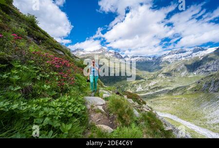 Wanderer auf dem Abstieg vom Schönbichler Horn zur Berliner Huette, Moränenlandschaft, links der Gipfel des Ochsner, rechts Stockfoto