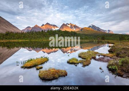 Berge der Lyngenalpen spiegeln sich im See, Lyngenfjord, Troms Og Finnmark, Norwegen Stockfoto