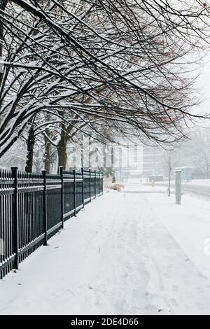 Starker Schneefall und Schneesturm in Toronto, Ontario, Kanada. Schnee Schneesturm und schlechtes Wetter Winterbedingungen. Leere Straße in der Stadt oder Park im Winter Stockfoto