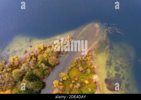 Flussdelta der Wangauer Ache in den Mondsee mit herbstlich verfärbtem Mischwald, Luftaufnahme, Drohnenaufnahme, Mondseeland Stockfoto