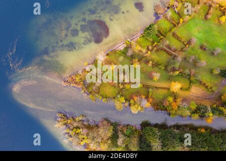 Flussdelta der Wangauer Ache in den Mondsee mit herbstlich verfärbtem Mischwald, Luftaufnahme, Drohnenaufnahme, Mondsee, Mondseeland Stockfoto