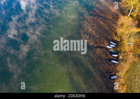 Nebelschwaden am Irrsee mit Fischerbooten im Schilfgürtel, Bodennebel, von oben, Drohnenaufnahme, Luftaufnahme, Zell am Moos, Salzkammergut, Obere Stockfoto