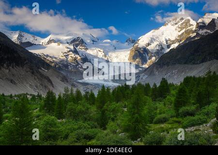 Morteratschtal, Piz Palue, 3905 m, Piz Bernina, 4049 m, Bianco-Grat, Morteratschgletscher, Graubünden, Oberengadin, Schweiz Stockfoto