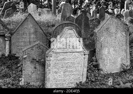 Grabsteine auf dem alten jüdischen Friedhof, Josefsstadt, Prag, Tschechische Republik Stockfoto