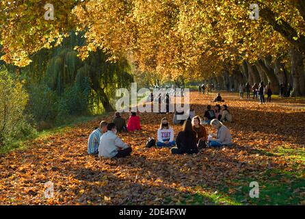 Studenten, Jugendliche, Genesung bei der Aussperrung in der herbstlichen Platanenallee, Corona-Krise, Tübingen, Baden-Württemberg, Deutschland Stockfoto