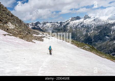 Wanderer auf der Abfahrt vom Schönbichler Horn zur Berliner Hütte, Schneefeld, Berliner Höhenweg, Zillertaler Alpen, Zillertal, Tirol, Österreich Stockfoto