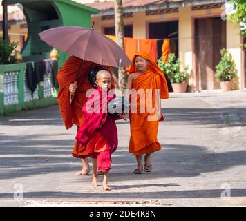 Mönche, zwei Jungen und ein Mann, gehen in den Straßen von Myeik, Süd-Myanmar, mit Almosenschüssel, um Nahrung und andere Notwendigkeiten für den Tag zu sammeln. Stockfoto