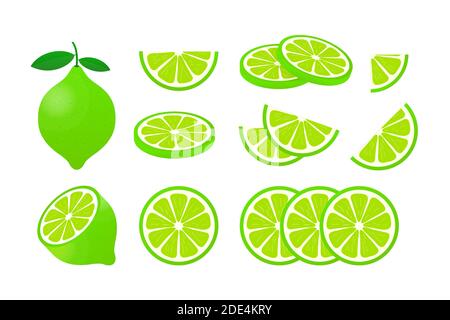 Kalk mit grünen Blättern, slice Zitrusfrüchte auf weißem Hintergrund. Vector Illustration. Stock Vektor