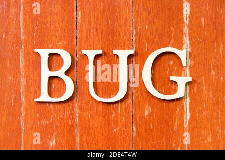 Alphabet Buchstaben in Wort Bug auf alten roten Farbe Holz Plattenhintergrund Stockfoto