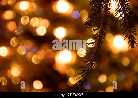 Abstrakter Hintergrund gelbe Bokeh Lichter und Zweige eines Baumes im Winter, Weihnachtshintergrund, gemütliche und warme Gefühle Stockfoto