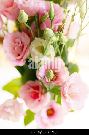 Schöner Bouquet von Eustoma weißen und rosa Blumen Bouquet, Close Up Lisianthus, Tulpe Enzian, eustomas. Isolate Banner Stockfoto