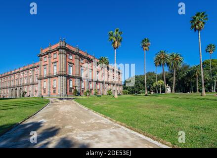 Der Palast von Capodimonte wurde 1742 erbaut und befindet sich auf der Spitze des Capidimonte-Viertels. Er ist ein schönes Beispiel für den Bourbon-palazzo in Neapel Stockfoto