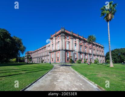 Der Palast von Capodimonte wurde 1742 erbaut und befindet sich auf der Spitze des Capidimonte-Viertels. Er ist ein schönes Beispiel für den Bourbon-palazzo in Neapel Stockfoto