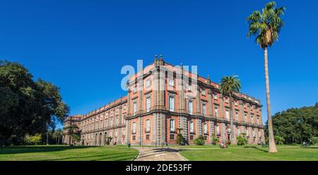 Der Palast von Capodimonte wurde 1742 erbaut und befindet sich auf der Spitze des Capidimonte-Viertels. Er ist ein schönes Beispiel für den Bourbon-palazzo in Neapel Stockfoto