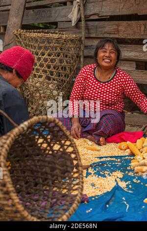 Tang Valley, Bhutan 3. Januar 2017: Im Tang Valley in Zentral-Bhutan arbeitet eine Bäuerin an ihrem Mais Stockfoto