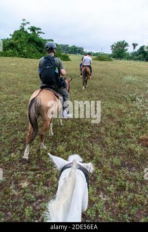 Eine kleine Gruppe von Touristen, die auf pensionierten Stockpferden durch die Regenwälder reiten, angeführt von einem lokalen Wildtierführer, der die Tierwelt in der Welt beobachtet Stockfoto