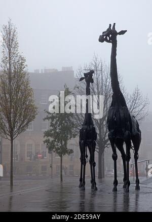 Leith Street, Edinburgh, Schottland, Großbritannien. Dichter Nebel umgibt die beiden Giraffen, die den Spitznamen Martha und Gilbert haben, aus Schrott, einschließlich Teilen von Autos und Motorrädern. Erstellt von Midlothian geboren Künstlerin Helen Denerley, wurde vom Omni Center enthüllt 27. Juli 2005. Die Inschrift rund um die Skulptur ist aus einem Gedicht von Roy Campbell, geschrieben im Jahr 1946, und liest "'Giraffen! Ein Volk, das zwischen Erde und Himmel lebt, jeder in seinem eigenen religiösen Turm, der einen Leuchtturm mit seinen Augen hält.“ Quelle: Arch White/Alamy Live News. Stockfoto