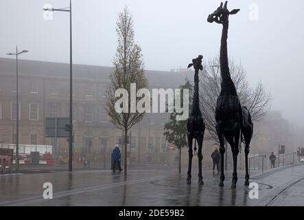 Leith Street, Edinburgh, Schottland, Großbritannien. Dichter Nebel umgibt die beiden Giraffen, die den Spitznamen Martha und Gilbert haben, aus Schrott, einschließlich Teilen von Autos und Motorrädern. Erstellt von Midlothian geboren Künstlerin Helen Denerley, wurde vom Omni Center enthüllt 27. Juli 2005. Die Inschrift rund um die Skulptur ist aus einem Gedicht von Roy Campbell, geschrieben im Jahr 1946, und liest "'Giraffen! Ein Volk, das zwischen Erde und Himmel lebt, jeder in seinem eigenen religiösen Turm, der einen Leuchtturm mit seinen Augen hält.“ Quelle: Arch White/Alamy Live News. Stockfoto