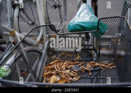 Fahrrad mit Metalldraht Korb mit einigen trockenen Blättern in ihm. Der Sattel ist mit Plastikfolie überzogen, um ihn vor Regen zu schützen. Detail eines Fahrradparkplatzes. Stockfoto