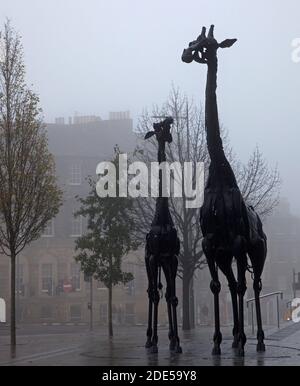 Leith Street, Edinburgh, Schottland, Großbritannien. Dichter Nebel umgibt die beiden Giraffen, die den Spitznamen Martha und Gilbert haben, aus Schrott, einschließlich Teilen von Autos und Motorrädern. Erstellt von Midlothian geboren Künstlerin Helen Denerley, wurde vom Omni Center enthüllt 27. Juli 2005. Die Inschrift rund um die Skulptur ist aus einem Gedicht von Roy Campbell, geschrieben im Jahr 1946, und liest "'Giraffen! Ein Volk, das zwischen Erde und Himmel lebt, jeder in seinem eigenen religiösen Turm, der einen Leuchtturm mit seinen Augen hält.“ Quelle: Arch White/Alamy Live News. Stockfoto