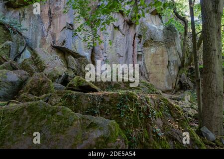 Eine überwuchert Bühne vor einer Felswand in einem Wald im Sommer. Stockfoto