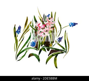 Blumenmuster von Muscari und Hyazinthen Pflanzen wachsen auf dem Boden, Original Aquarell Illustration isoliert auf weißem Hintergrund Stockfoto