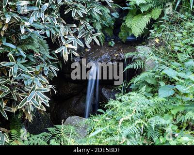 Ein kleiner Wasserfall fließt einen Hügel hinunter in Sankeien Garden in Yokohama, Japan. Stockfoto