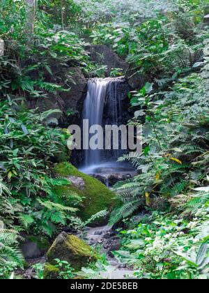 Ein kleiner Wasserfall fließt einen Hügel hinunter in Sankeien Garden in Yokohama, Japan. Stockfoto