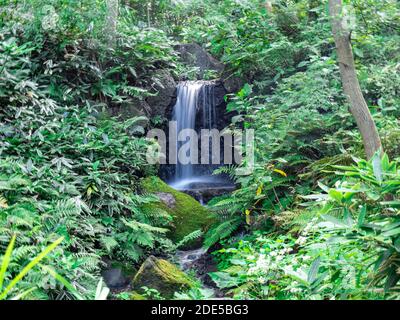 Ein kleiner Wasserfall fließt einen Hügel hinunter in Sankeien Garden in Yokohama, Japan. Stockfoto