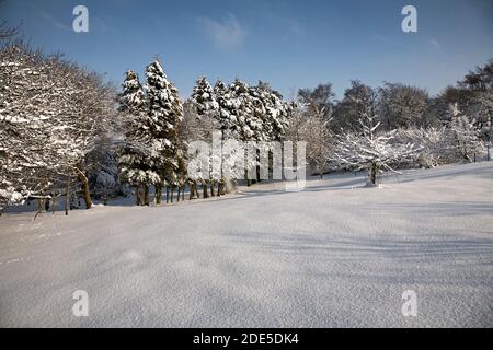 Februar und ein starker Schneefall bedeckt das Land um die Yorkshire Dales Kleinbetrieb Stockfoto