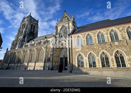 Abbildung zeigt die Onze-Lieve-Vrouwebasiliek (Basilika unserer Lieben Frau) in Tongeren, Freitag, 27. November 2020. BELGA FOTO YORICK JANSENS Stockfoto