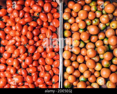 Zwei vertikale Kisten mit frischen gelben und roten italienischen Tomaten Gerade aus dem Land ausgewählt Stockfoto