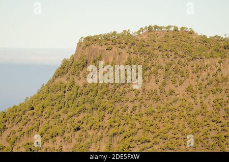 Ojeda Berg im Integralen Naturreservat von Inagua. Gran Canaria. Kanarische Inseln. Spanien. Stockfoto