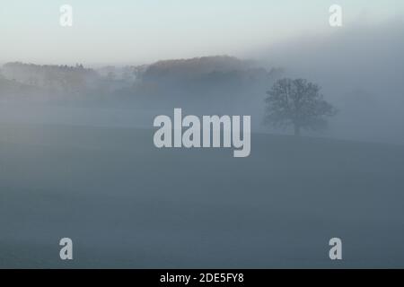 Winter Morning Fog Rollen über die Felder und umhüllen die Bäume auf dem Ridgeway in der Nähe von Ragley, Alcester an der Warwickshire Worcestershire Grenze. Stockfoto