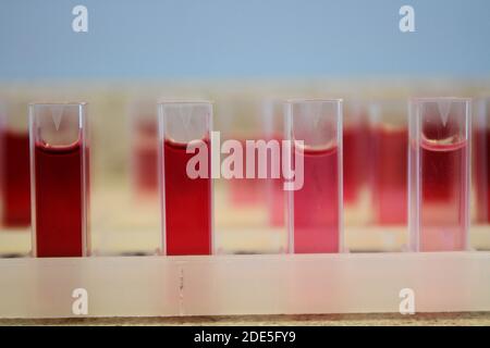 Küvetten in Haltern, die Proben von roter Flüssigkeit in einem Labor enthalten, bereit für Tests in einem Colorimeter. Stockfoto