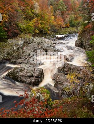 Der Fluss Findhorn, unter Randolph's Leap, in der Nähe von Logie, Moray, Schottland. Im Herbst Stockfoto