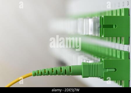 Optical Distribution Panel mit angeschlossenen Patchkabel Kabel Stockfoto