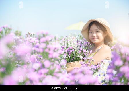 Nettes Mädchen und Michaelmas Daisy oder New York Aster Blumenfeld, Chiang Mai beliebtesten Fotografie Destinationen Stockfoto