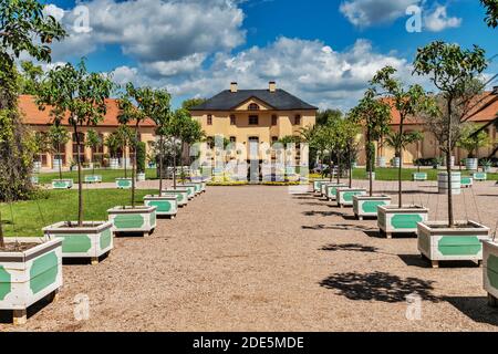 Die Orangerie befindet sich im Schloss Belvedere in Weimar, Thüringen, Deutschland, Europa Stockfoto