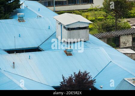 Ein Baum wächst durch eine Lücke im Blau auf Wellblechdach des Basiskrankenhauses in Puerto Montt Chile Stockfoto