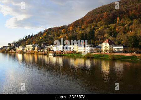 Heidelberg. Häuser am Neckar im Herbst mit dem Berg Heiligenberg im Hintergrund. Stockfoto