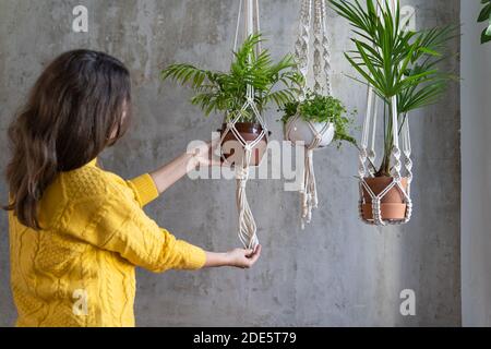 Frau Gärtner hält Macrame Pflanze Kleiderbügel mit Zimmerpflanze über graue Wand. Hobby, Liebe zu Pflanzen, Heimtextilien-Konzept. Stockfoto