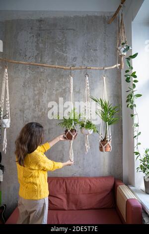 Frau Gärtnerin hält Macrame Pflanze Kleiderbügel mit Zimmerpflanzen über graue Wand zu Hause. Hobby, Liebe zu Pflanzen, Heimtextilien-Konzept. Stockfoto