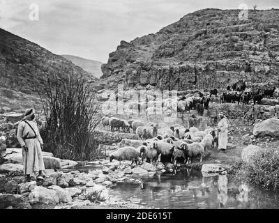'Middel East History - Set von dreizehn ausgewählten Folien des Hirtenlebens zur Illustration der dreiundzwanzigsten Psalm. ''Er führt mich auf den Wegen der Gerechtigkeit''' Stockfoto