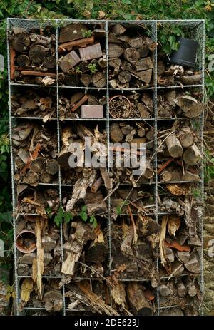 Ein Hotel für Insekten oder Bienen zum Schutz der Tierwelt in Großbritannien. Stockfoto