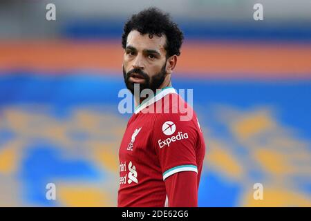 Mohamed Salah aus Liverpool - Brighton & Hove Albion / Liverpool, Premier League, Amex Stadium, Brighton, Großbritannien - 28. November 2020 nur zur redaktionellen Verwendung – es gelten die DataCo-Einschränkungen Stockfoto