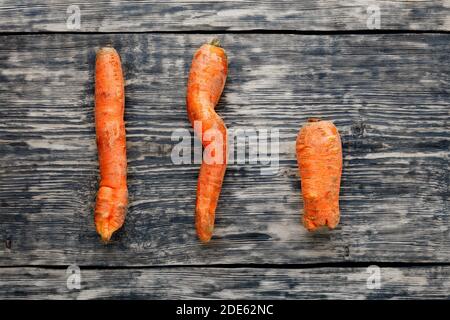 Trendige hässliche Bio-Karotten aus dem Garten auf einem alten grauen Holztisch. Draufsicht, Kopierbereich, Nahaufnahme. Stockfoto